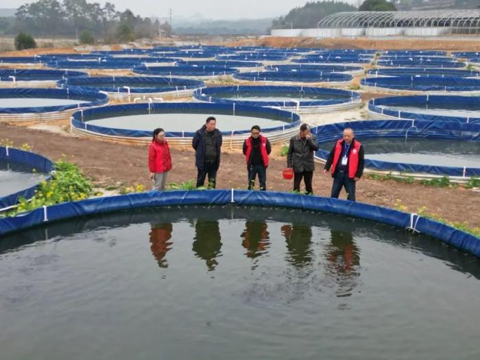 陆基水产养殖技术_陆地水产养殖_陆基工厂化水产养殖模式成本