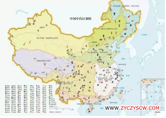 种植技术天地网_种植天地网技术有哪些_种植天地网技术要点