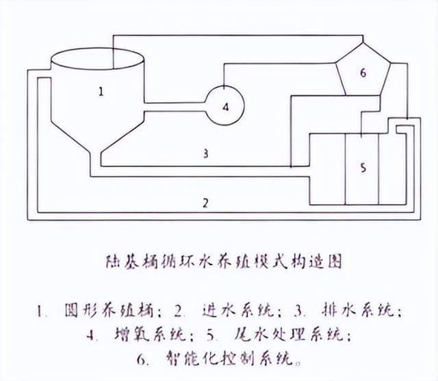 陆基桶循环水养殖模式的应用前景