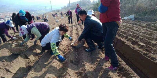 山东省科学技术厅 在线访谈 “决胜全面小康，科技特派员在行动”第十期直播