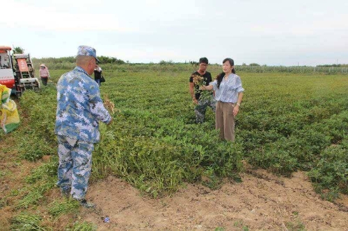 西洋种植参最新技术研究_西洋参种植技术条件_西洋参最新种植技术