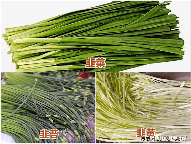 手上长湿疹可以用韮菜治疗吗_韮菜的吃法_韮菜种植技术