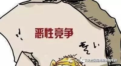 海南最大养龟大户_致富经海南养龟_海南龟养殖场