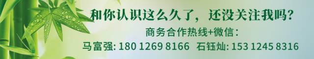 温室里种这个比种草莓还赚钱！12年实践经验告诉你怎么种