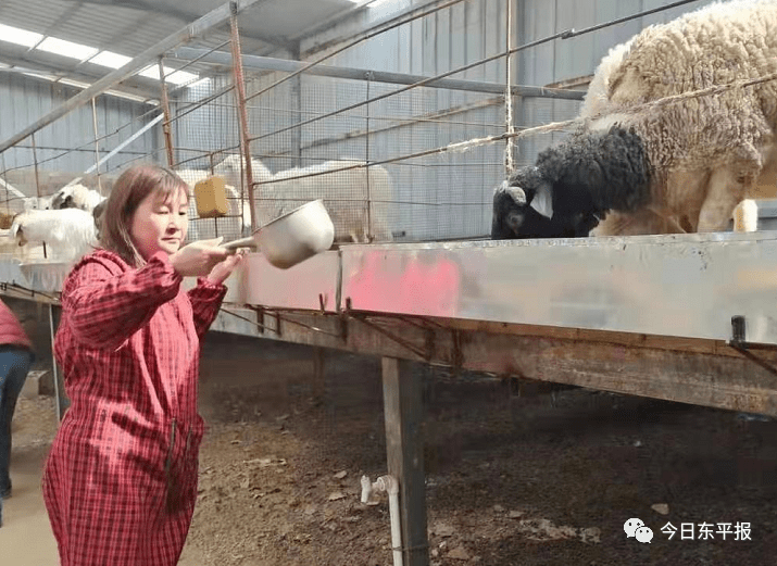 女性养殖致富方法_致富养殖女性方法图片_致富养殖女性方法是什么