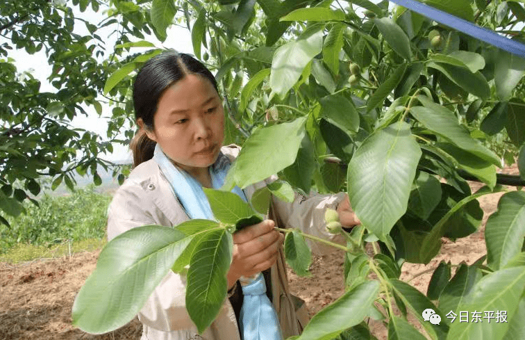 致富养殖女性方法图片_女性养殖致富方法_致富养殖女性方法是什么