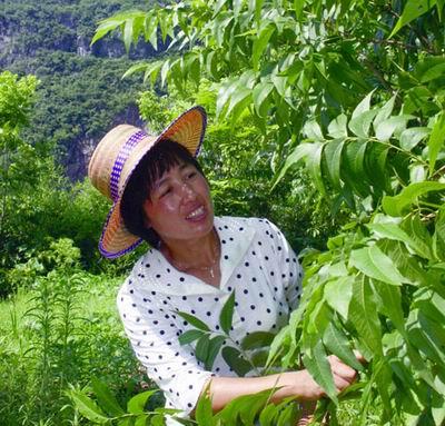 农业致富种植项目_农民致富种植项目_自家农业种植致富