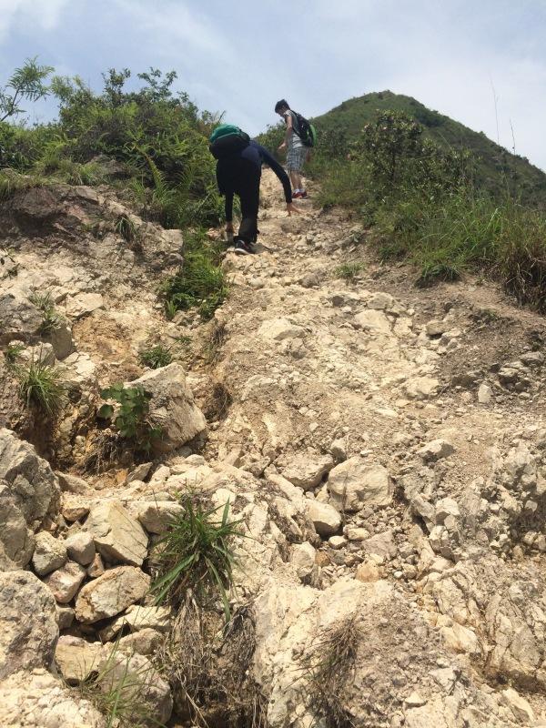 农民致富种植项目_自家农业种植致富_农业致富种植项目