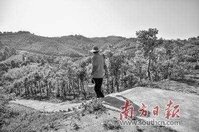 南药飘香益千家