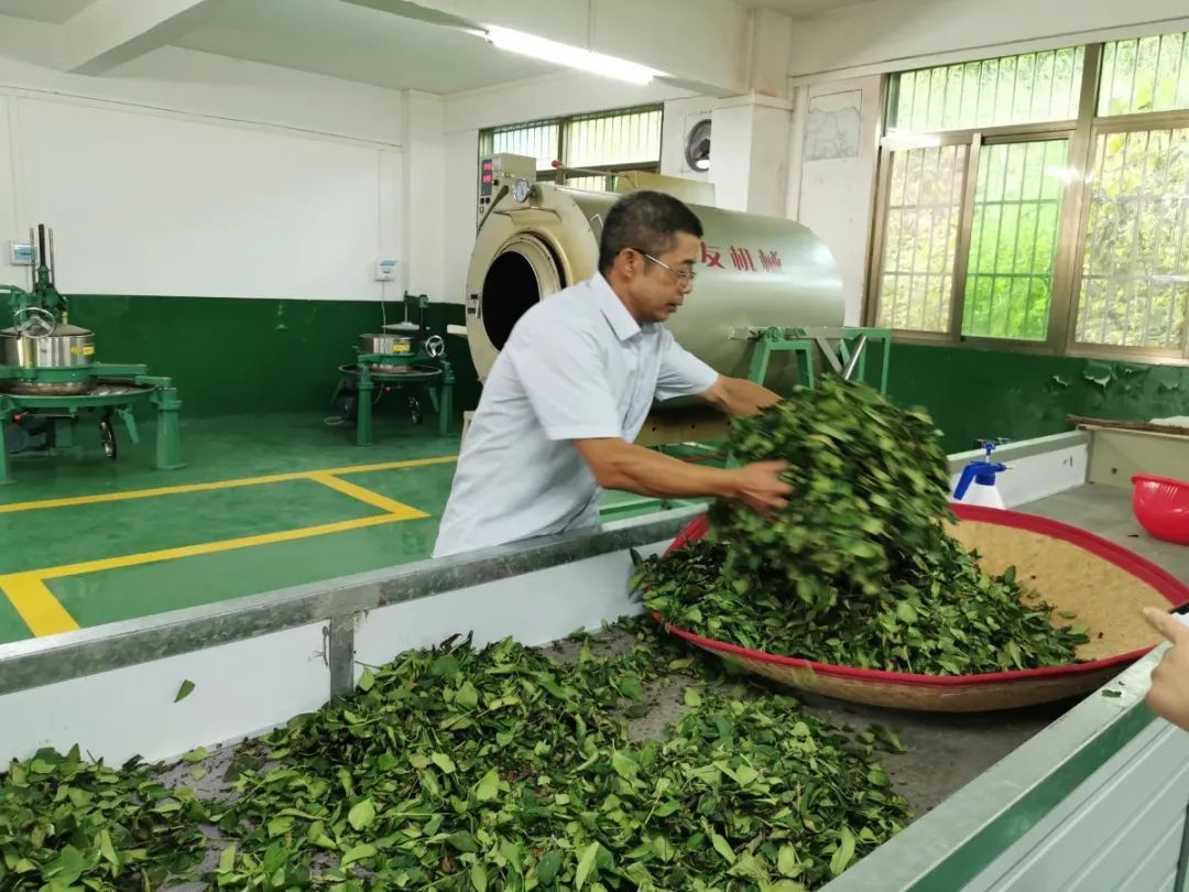 致富经 南宁百香果_致富经 南宁百香果_致富经 南宁百香果