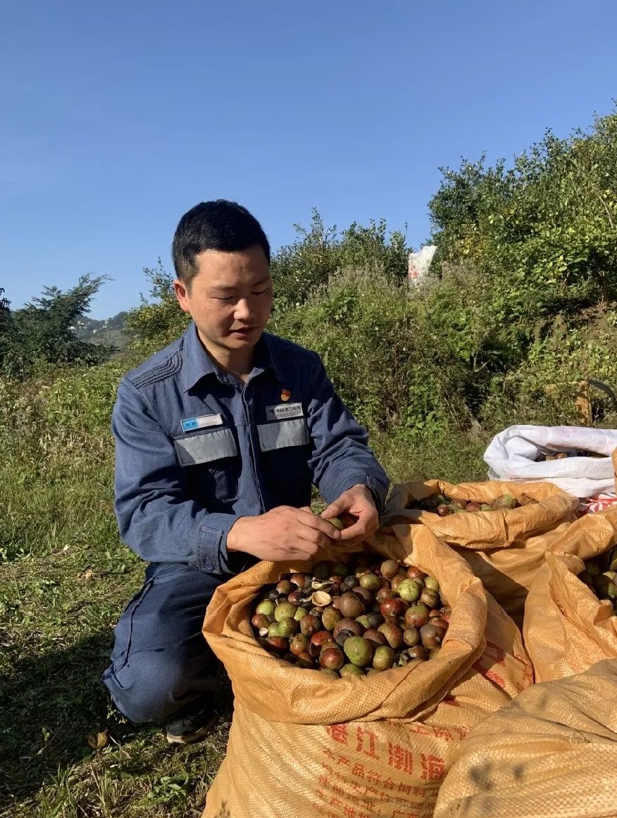 致富经 南宁百香果_致富经 南宁百香果_致富经 南宁百香果