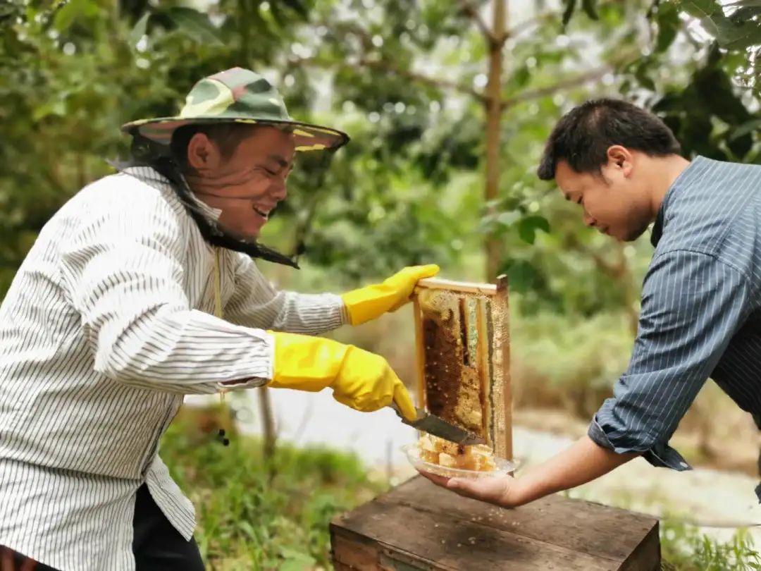 致富经 南宁百香果_致富经 南宁百香果_致富经 南宁百香果