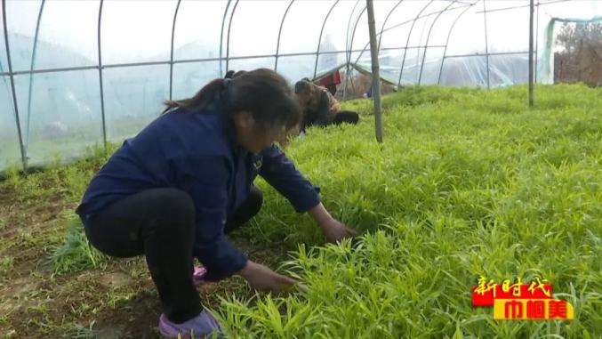 致富养殖女性方法有哪些_女性养殖致富方法_致富养殖女性方法图片