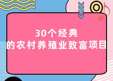 30个经典的农村养殖业致富项目