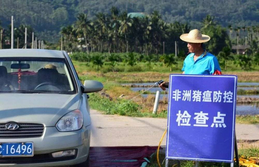 生财有道黑天鹅养殖视频_致富经黑天鹅养殖_黑天鹅养殖厂