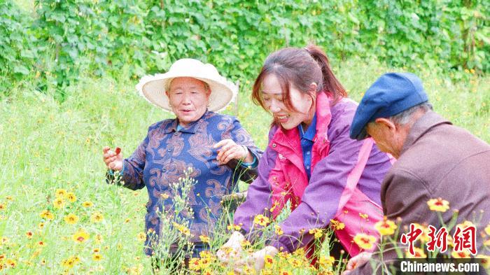 梁安莉(中)在基地查看花卉。　梁安莉供图