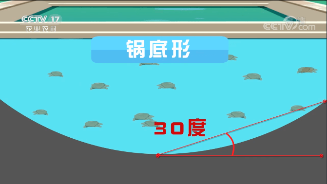 致富养殖项目清塘工程_农村致富新项目养殖_清塘养殖致富项目