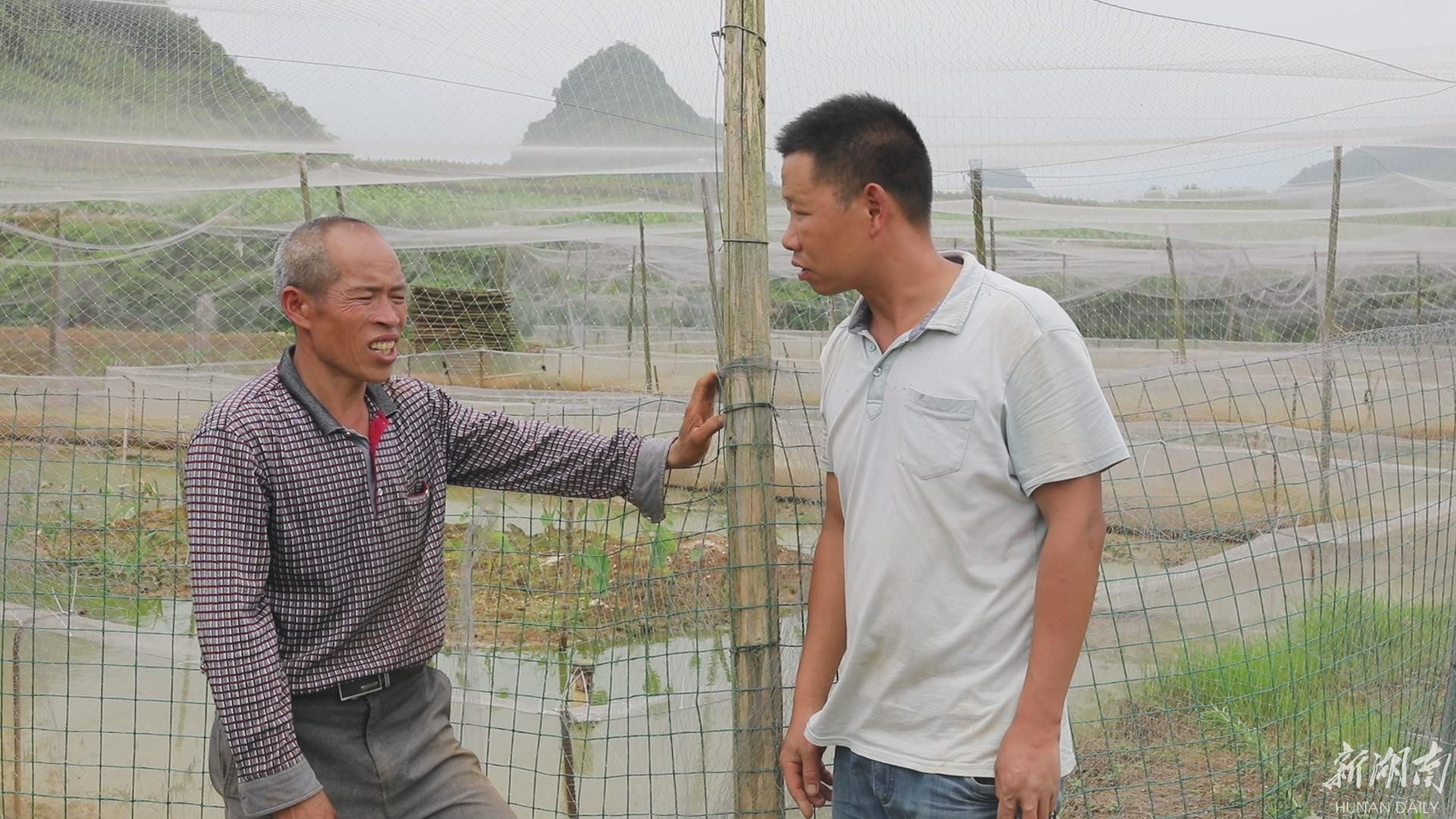 致富经邓兴龙青蛙养殖_致富经邓兴龙青蛙养殖_致富经邓兴龙青蛙养殖