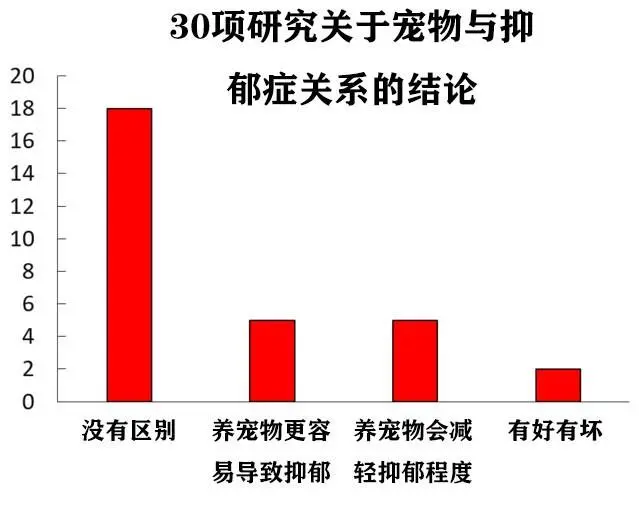 致富经养狗报道_致富养狗报道视频_致富项目养狗