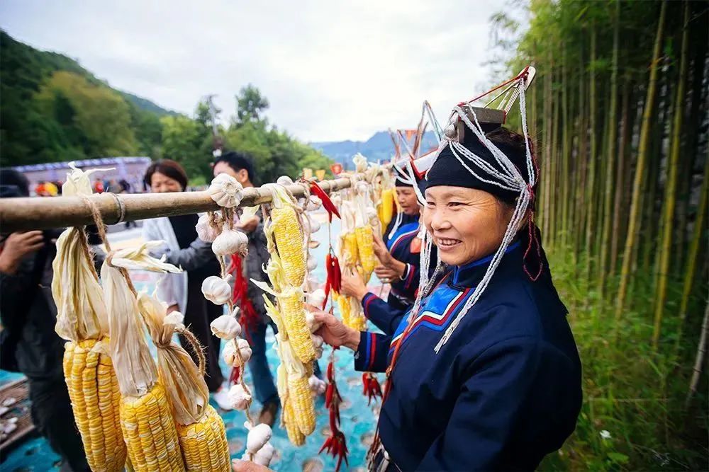 景宁县郑坑乡：学好“技能提升课” 掌握“金猪致富经”