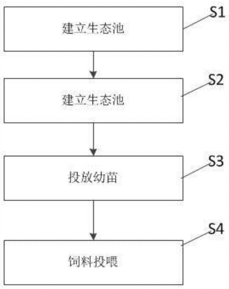 一种生态水蛭立体养殖方法与流程