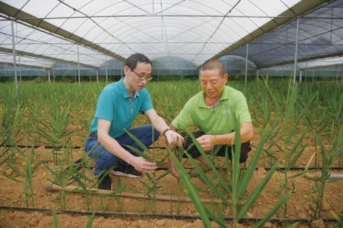 致富经种植业完整版_致富经2017全集种植_致富经2020年种植全集