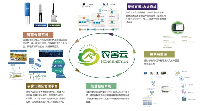 山东淄博种植什么农作物_淄博适合种植什么药材_淄博农村种植致富