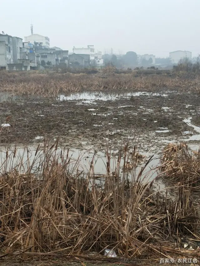 立体养殖模式的优势_立体式养殖_立体小龙虾养殖技术