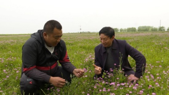 农村种植致富_农民种植致富设备_致富种植农民设备有哪些