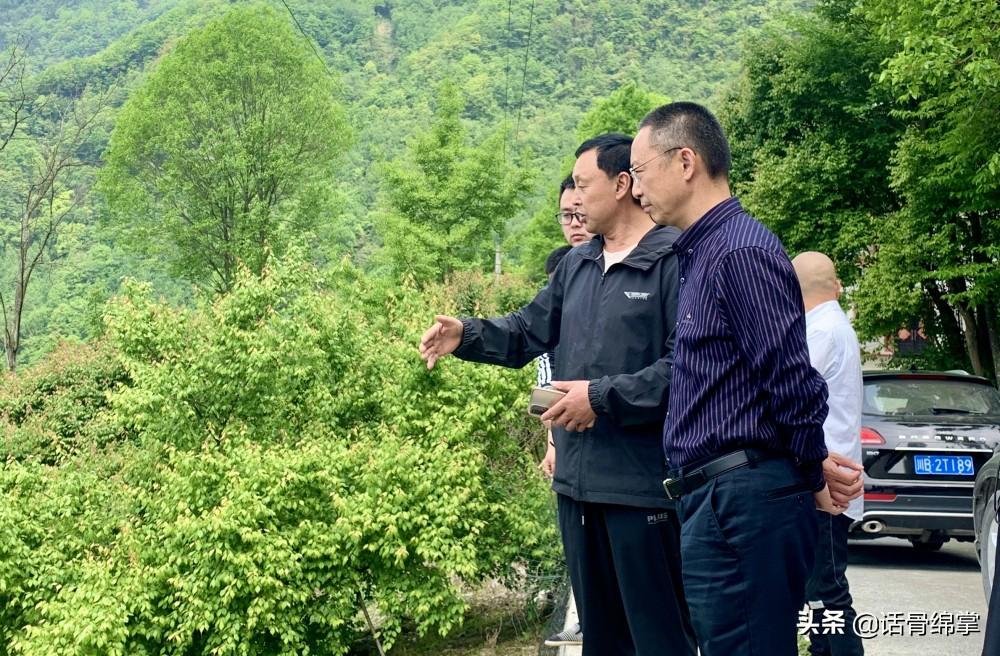 中草药养鸡致富经_中草药养殖土鸡的配方_致富经中药喂土鸡