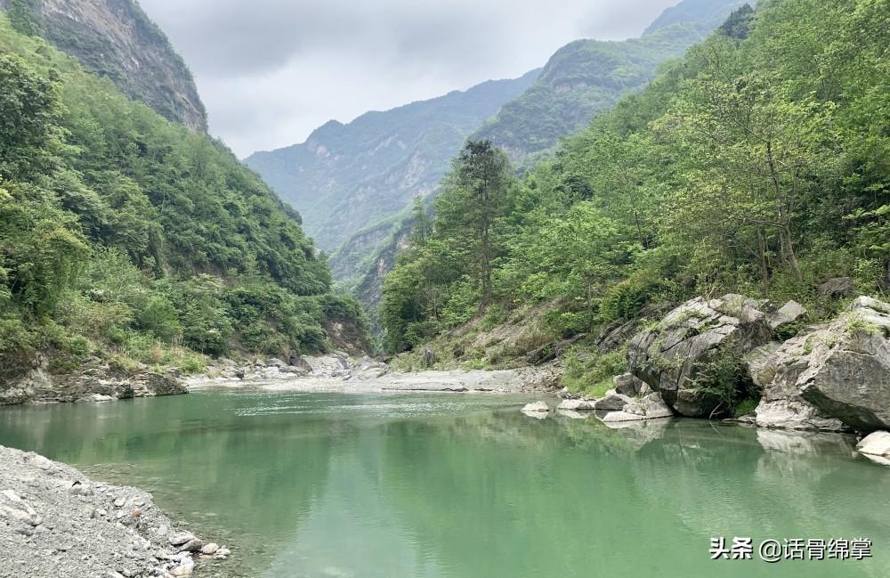 中草药养鸡致富经_致富经中药喂土鸡_中草药养殖土鸡的配方