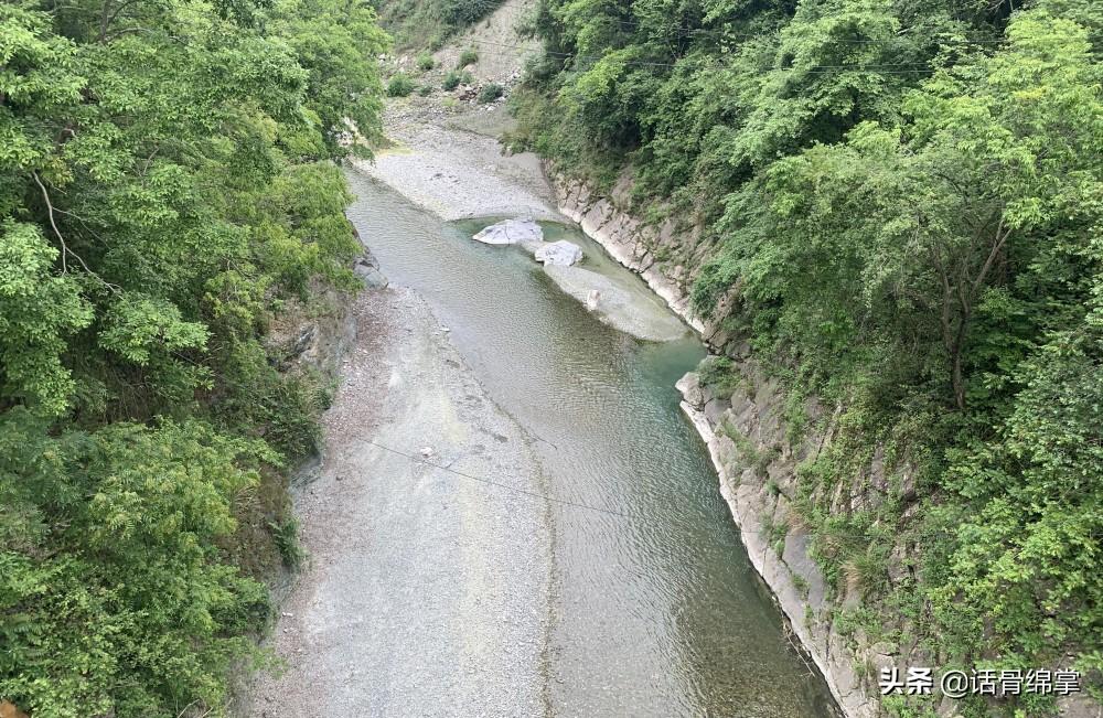 中草药养殖土鸡的配方_致富经中药喂土鸡_中草药养鸡致富经