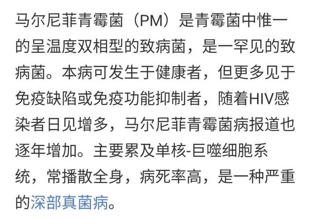 竹鼠养殖视频致富经_竹鼠养殖技术视频高清_致富经竹鼠养殖视