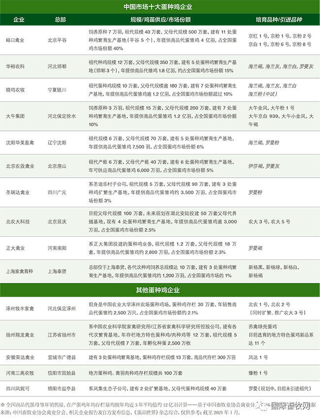 中国蛋鸡产业布局 || 十大蛋种鸡企业排行