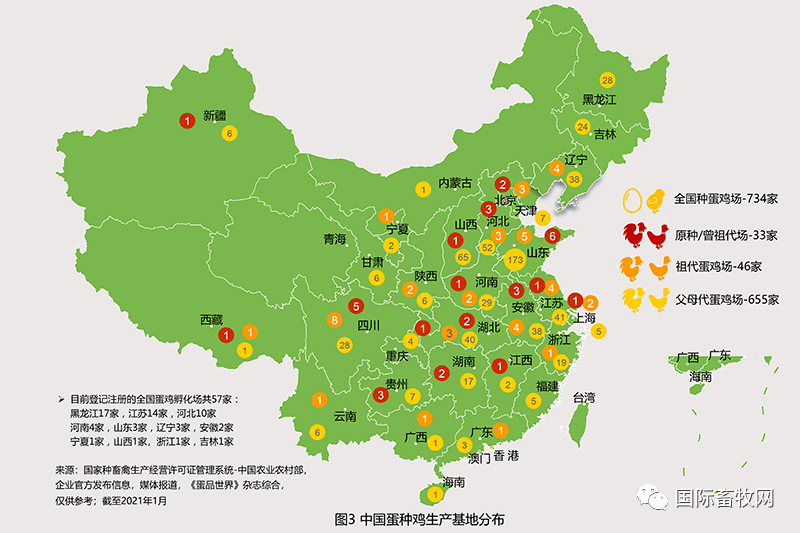 养殖蛋鸭的前景如何_致富经养蛋鸭技术视频_致富经养殖蛋鸭