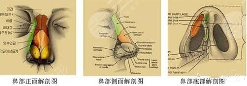 福州林峰医生做的鼻子怎么样？