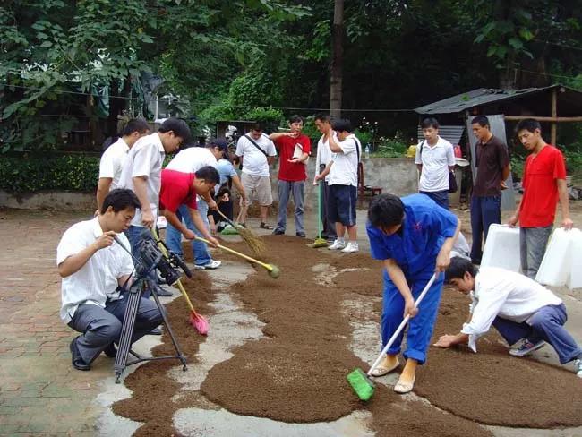 致富经蝇蛆养鸡视频_致富经蝇蛆养殖_蝇蛆养殖致富案子