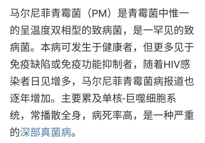 致富经竹鼠养殖视_竹鼠养殖技术视频高清_竹鼠养殖视频致富经