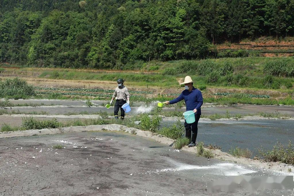 红虫养殖成本和利润_红虫养殖前景_养殖红虫致富吗