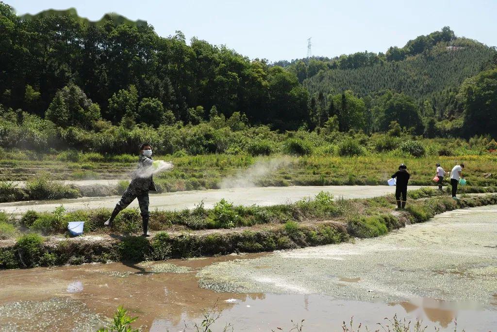 红虫养殖前景_红虫养殖成本和利润_养殖红虫致富吗