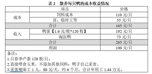 致富养殖蛋鸭视频_致富经养殖蛋鸭_致富经养蛋鸭技术视频