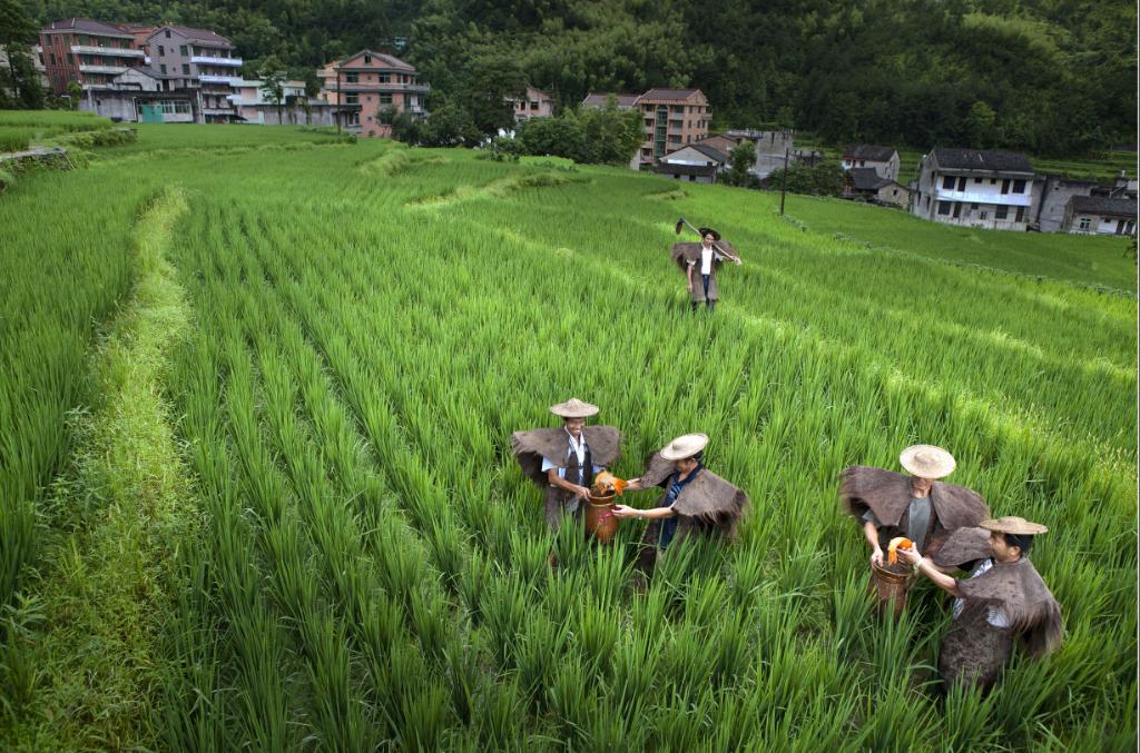 生态鱼养殖公司_生态养殖生态养鱼_生态养殖致富鱼