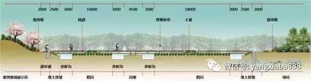 泥鳅黄鳝野生养殖技术_野生养殖泥鳅黄鳝技术要求_野生泥鳅黄鳝是保护动物吗