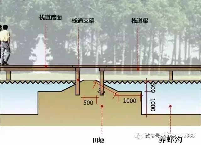 野生养殖泥鳅黄鳝技术要求_野生泥鳅黄鳝是保护动物吗_泥鳅黄鳝野生养殖技术