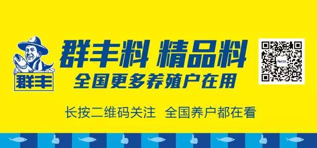 福建全面封杀禁养，价格狂飙70%！牛蛙去年只有7元/斤，今年有望涨到13元/斤！