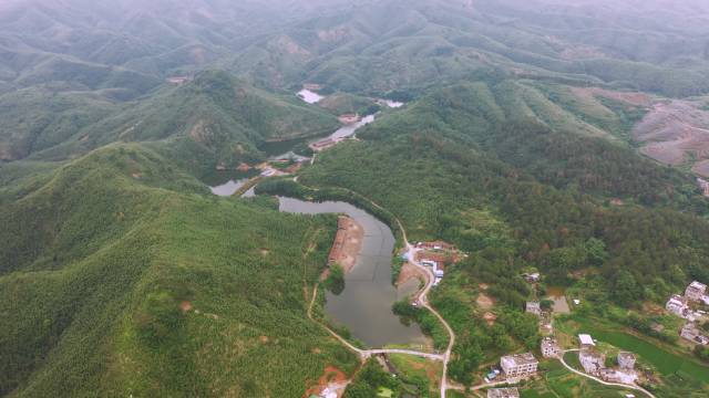 种植浮萍养鸭致富_浮萍养鸭技术可行吗_致富种植浮萍养鸭可以吗