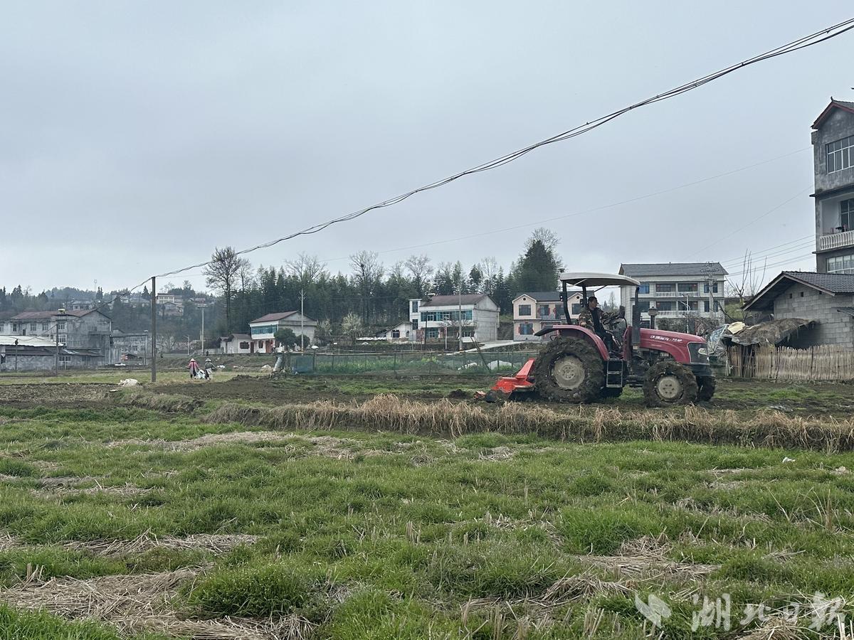 旱田种植致富新路_致富经农村种植_致富经种地