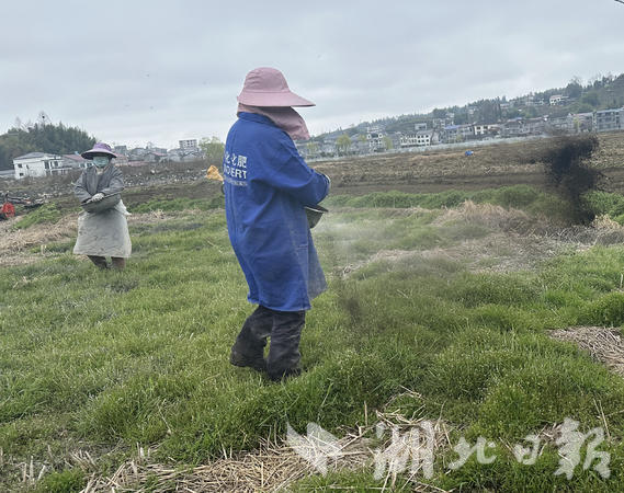 致富经种地_旱田种植致富新路_致富经农村种植