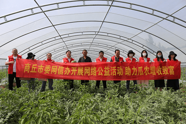 河南西瓜种植基地_商丘西瓜种植致富_致富经西瓜种植全视频