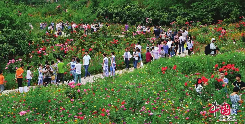 南充市南部县乡村旅游人气旺 脱贫奔康底气足